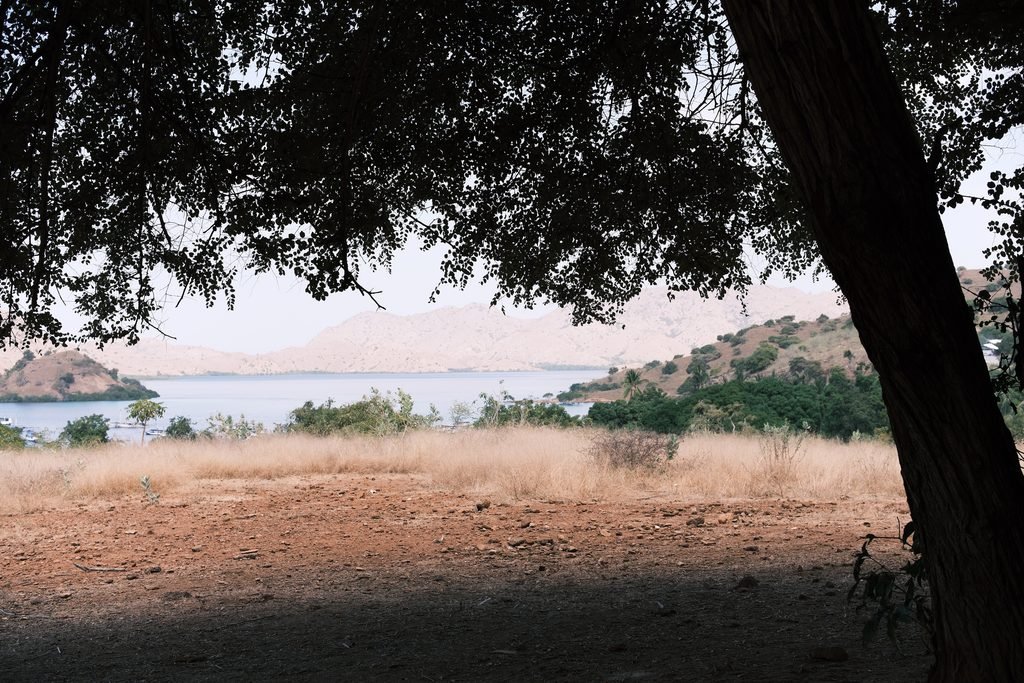 Natural landscape and walking trail on Komodo Island